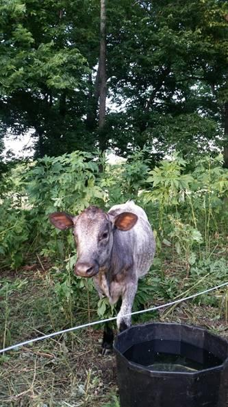 image0025