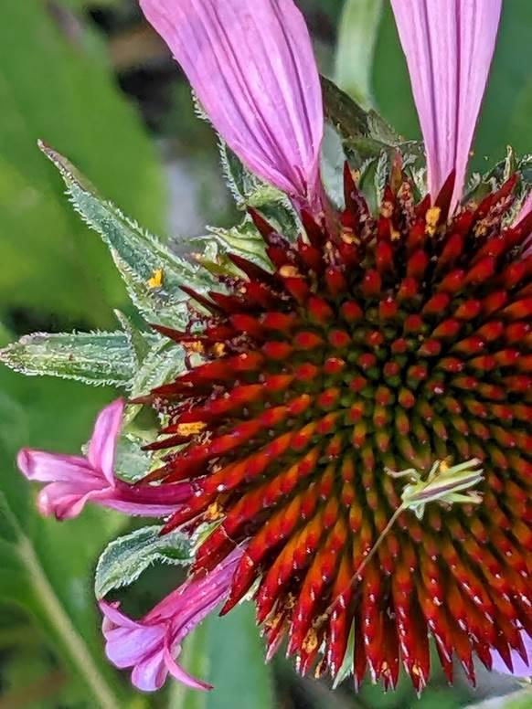 image0127