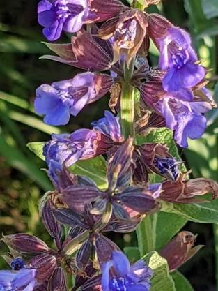 image0129