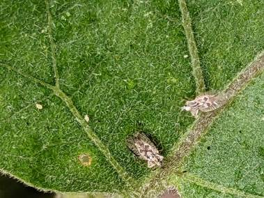 image0172